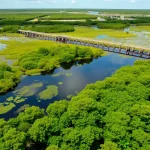 Scenic view of the Everglades wetlands with water management structures.